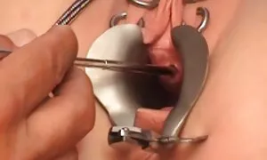 Case ilmaista porboa Hindu
