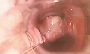 Kaadettuaan öljyä ilmaiset porno videot päästä varpaisiin antautui aikuinen mies.