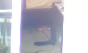Moraali piinaa kahta urheiluhomoa ilmaista pornoa metsässä.